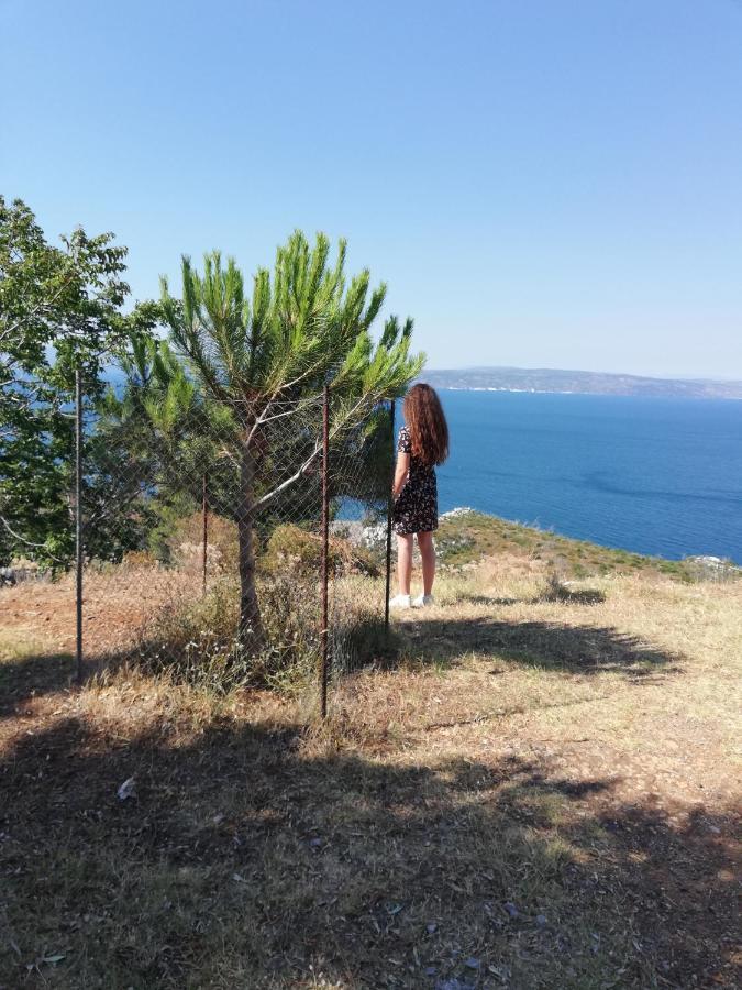 North Evia Kiki's House * Kourkouli